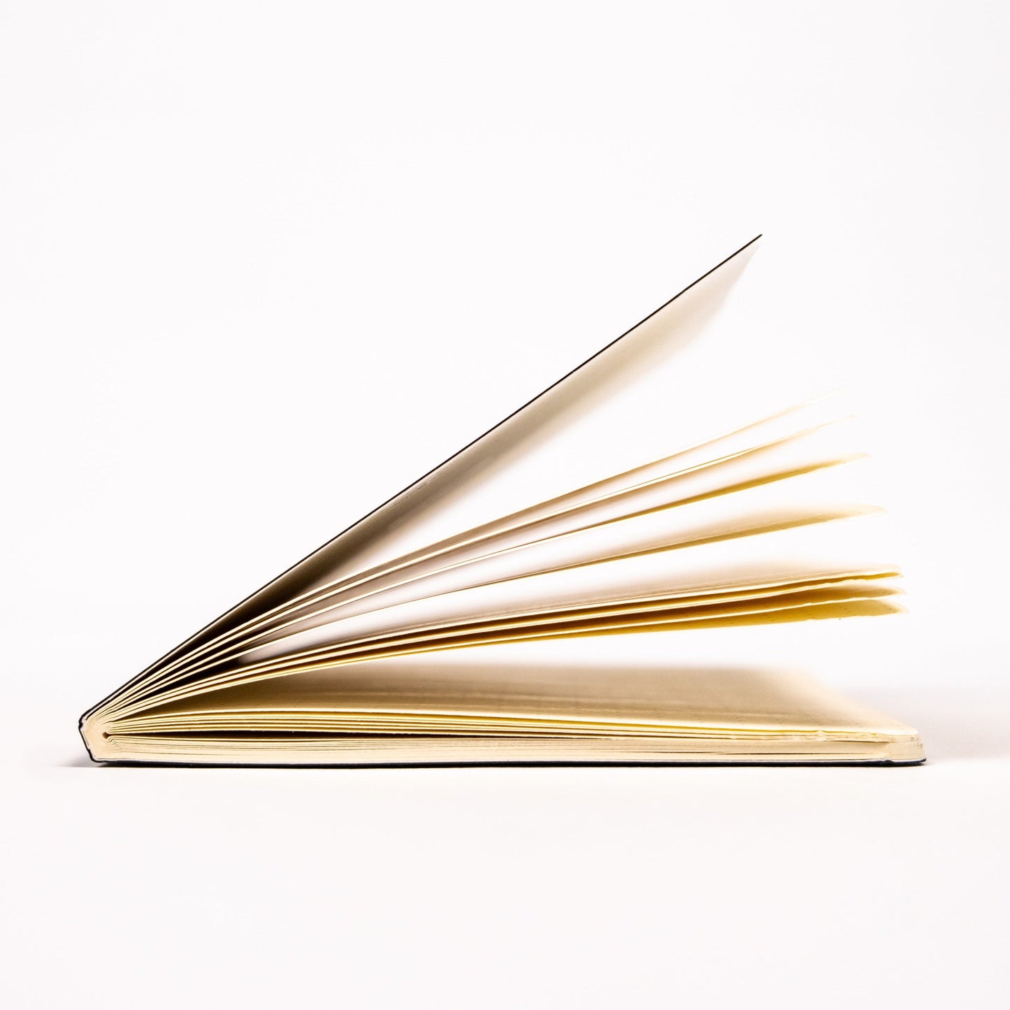 Big Idea Design Everyday Notebook