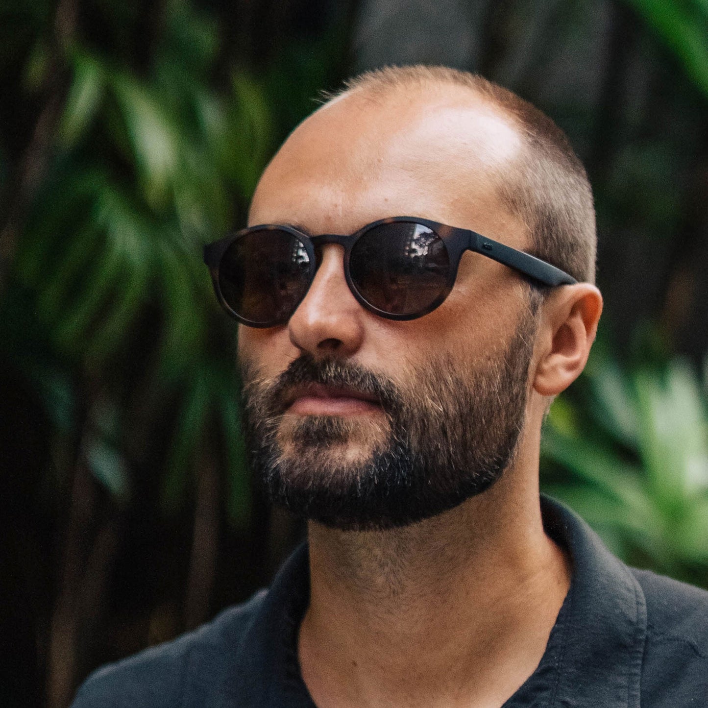 Wando Sunglasses