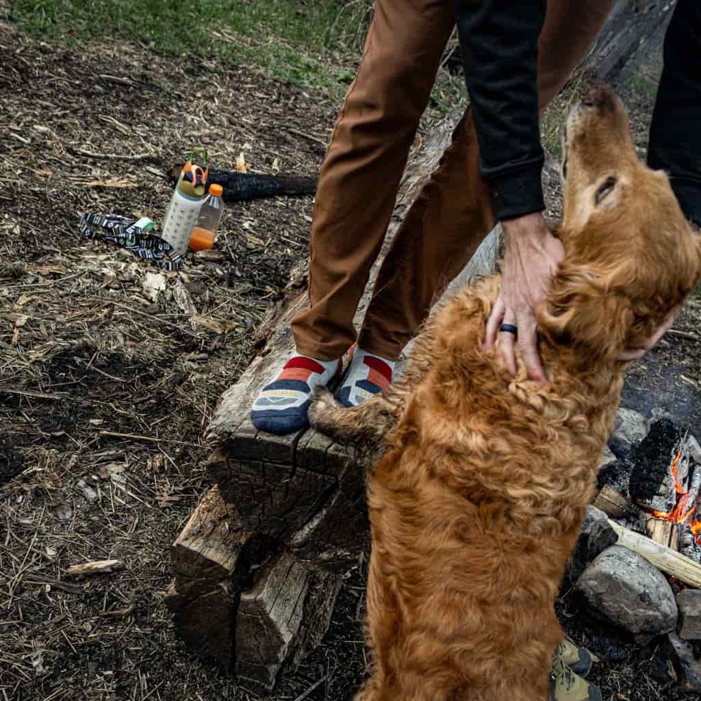 GRIP6 3 Pack Campfire - Hike Crew Lightweight Merino Wool Sock