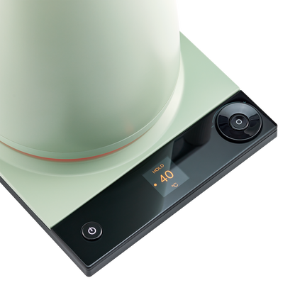 SAKI Luna Electric Kettle Pro