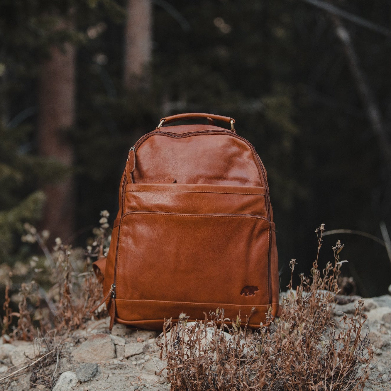 Kodiak Leather Katmai Leather Backpack